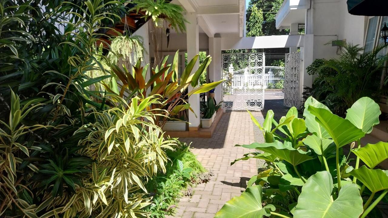 Surokarsan 9 House Yogyakarta Otel Dış mekan fotoğraf